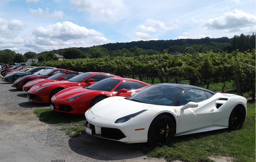 Niagara Chapter of the Ferrari Club of America Wine Tour
